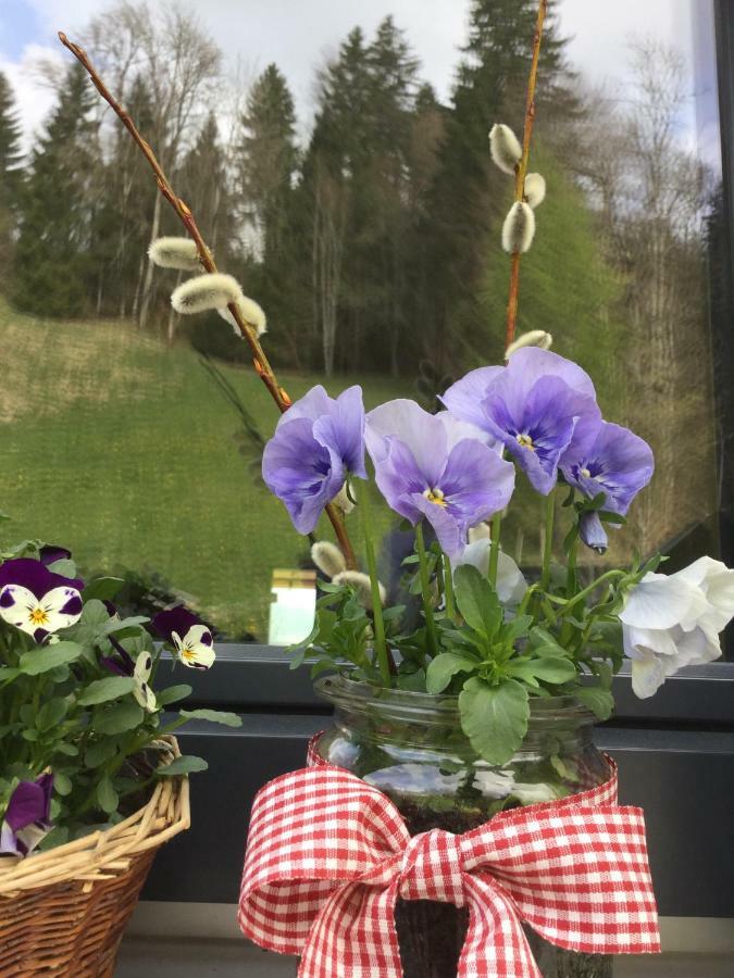 Apartment Nest Sibratsgfall Экстерьер фото