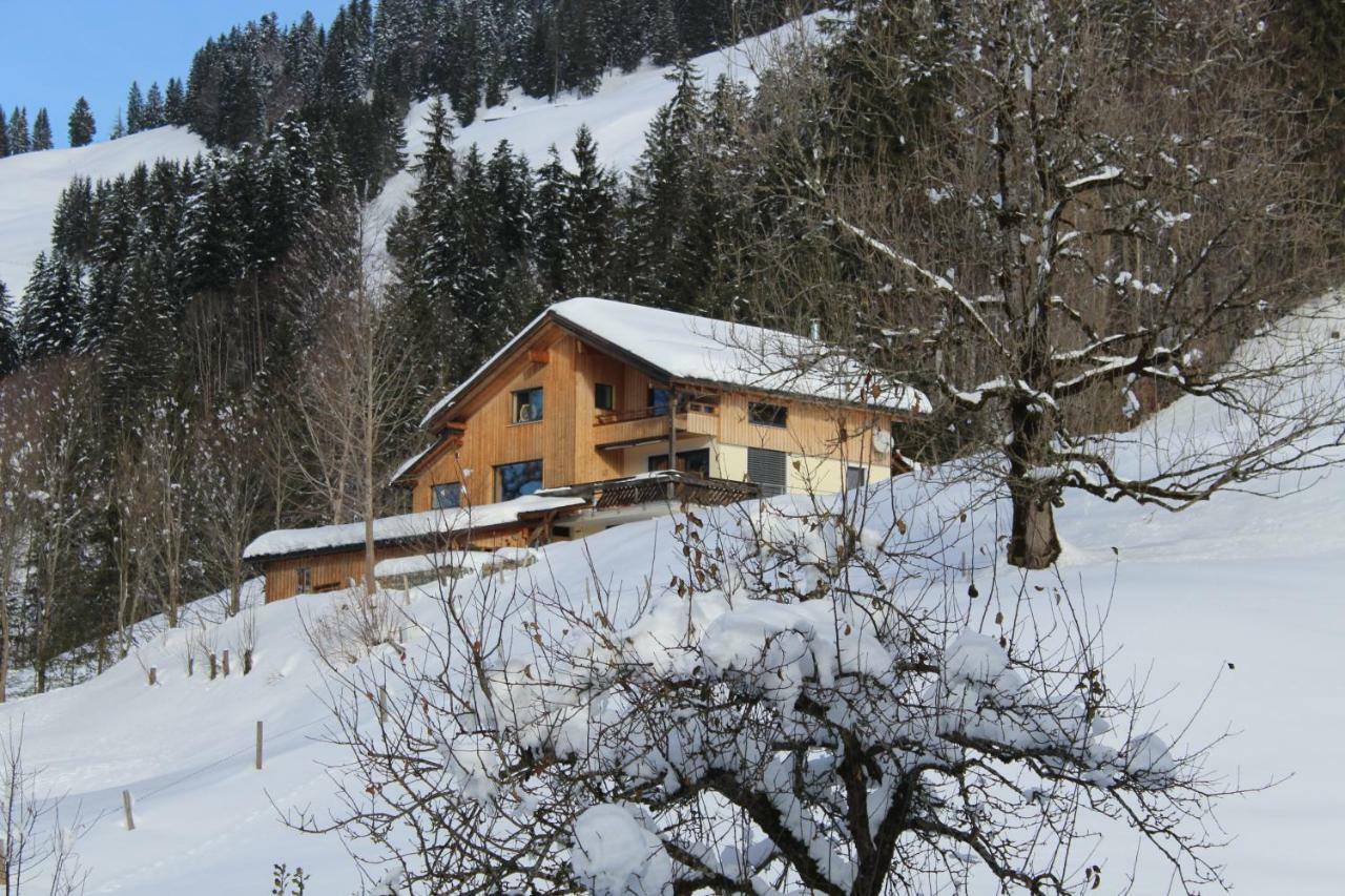 Apartment Nest Sibratsgfall Экстерьер фото